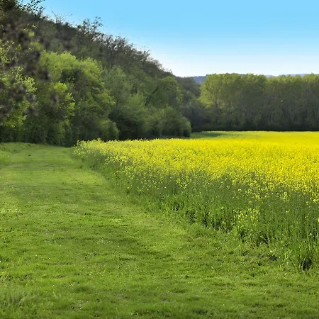 Séjour à la ferme Il Corniolo Cenerente