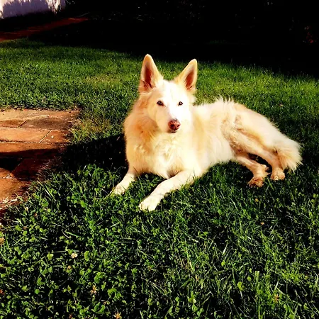 Il Corniolo Farm stay *