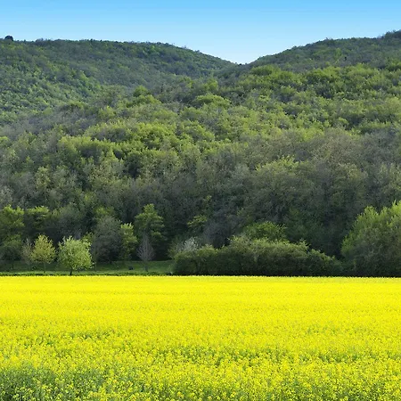 Il Corniolo Farm stay