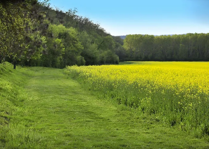 Alloggio per agriturismo Il Corniolo Cenerente