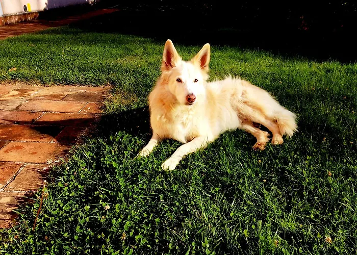 Il Corniolo Alloggio per agriturismo *