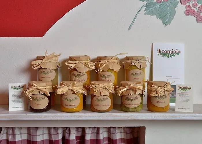 Alloggio per agriturismo Il Corniolo *