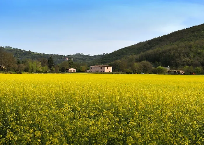 Alloggio per agriturismo Il Corniolo Cenerente