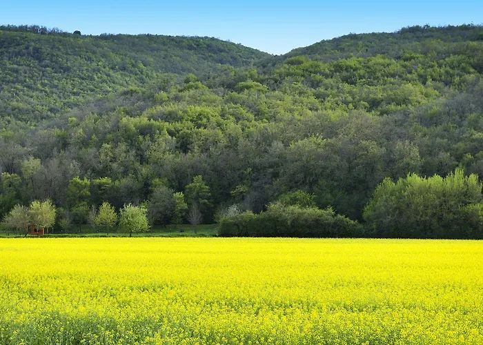 Il Corniolo Alloggio per agriturismo
