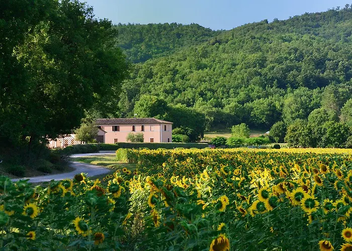 Il Corniolo Alloggio per agriturismo *